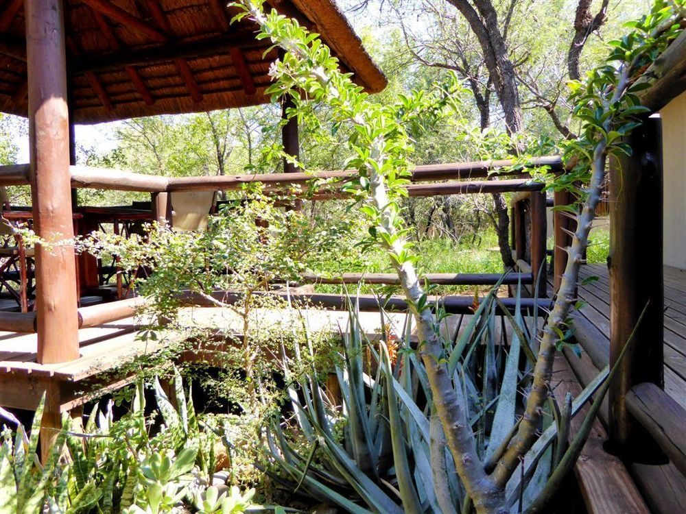 Hoedspruit Raptors Lodge N16 Екстериор снимка
